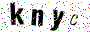 Enter text shown in image